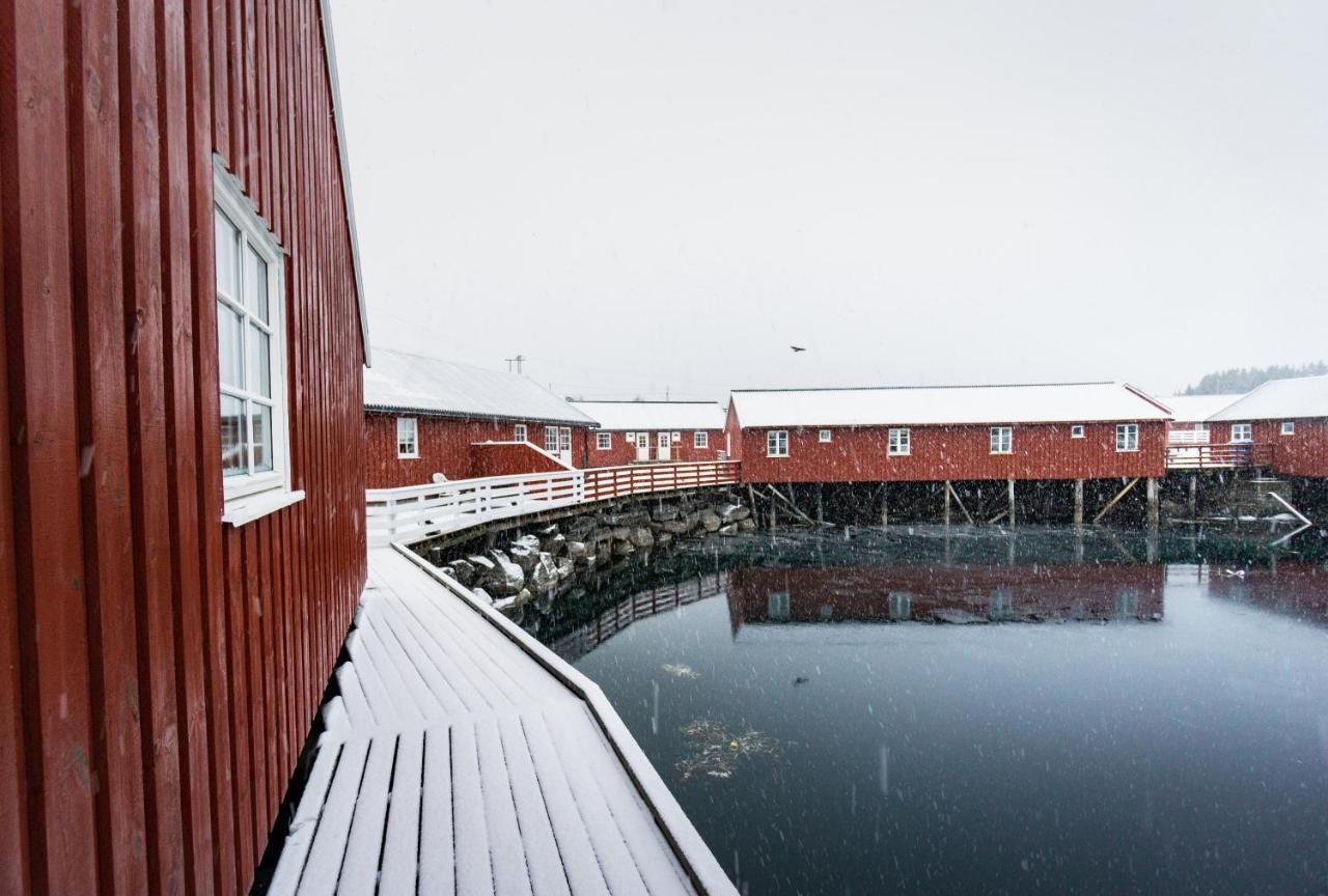 Lofoten Cabin and Kayak Rental Stamsund Buitenkant foto